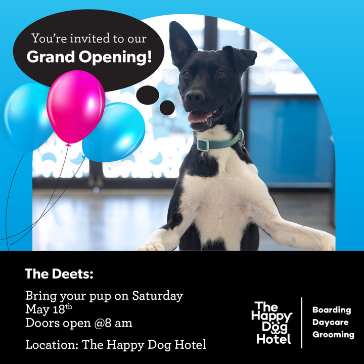 Grand Opening on May 18th Saturday