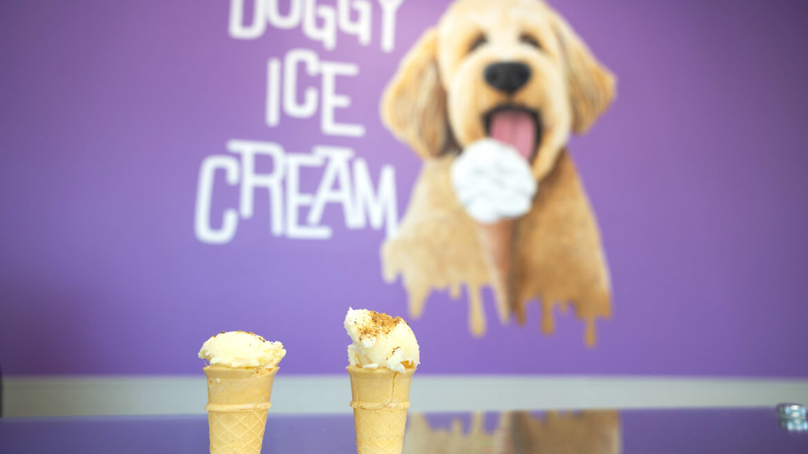 The Scoop on Pet Ice Cream Parlors in Georgia