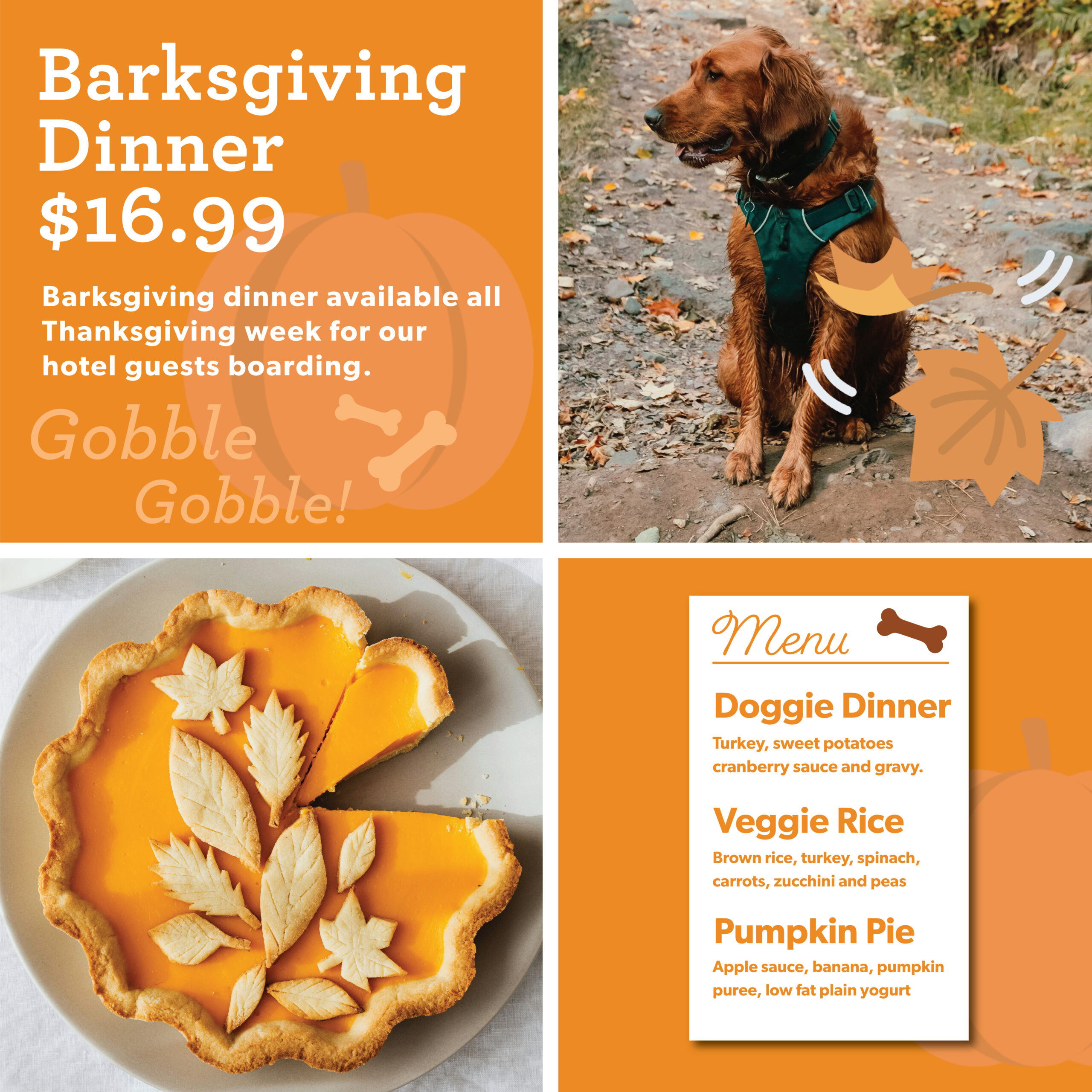 Dogsgiving Dinner