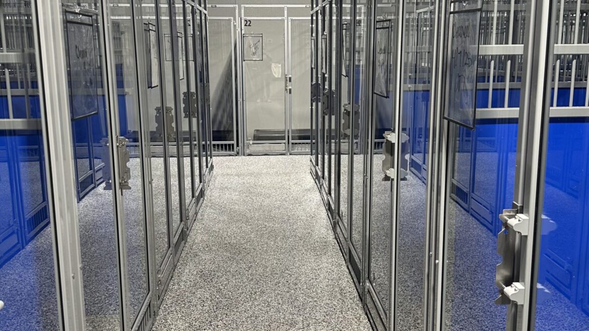 Why Should I Bring My Dog In For a Tour Before a Stay at The Happy Dog Hotel?