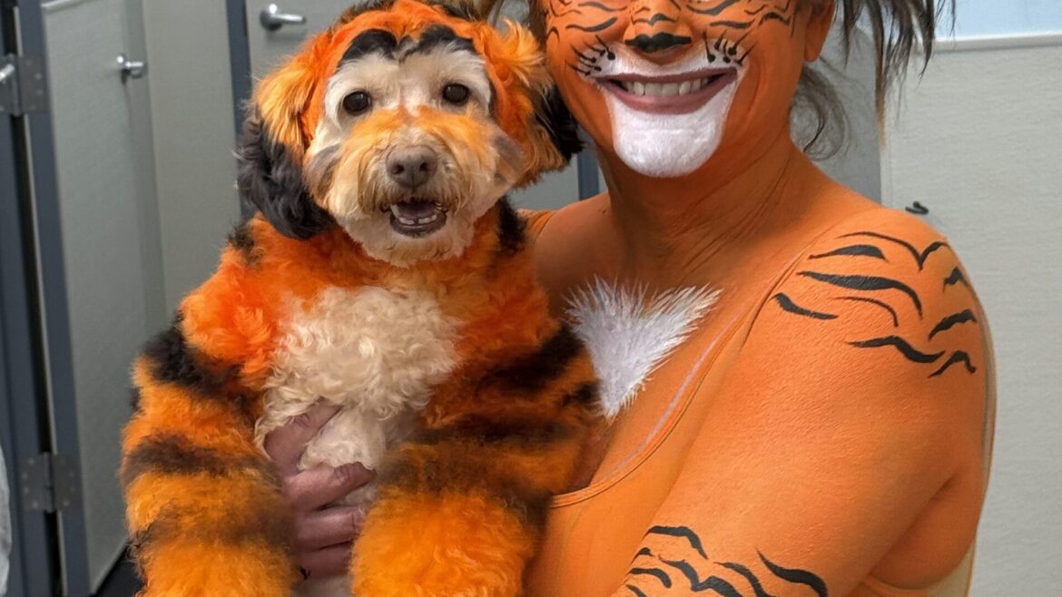 Why Do Dogs Start to Look Like Their Owners?