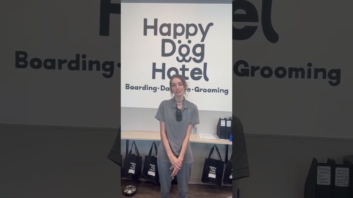 The Happy Dog Hotel: Nominated for Best in North Atlanta!