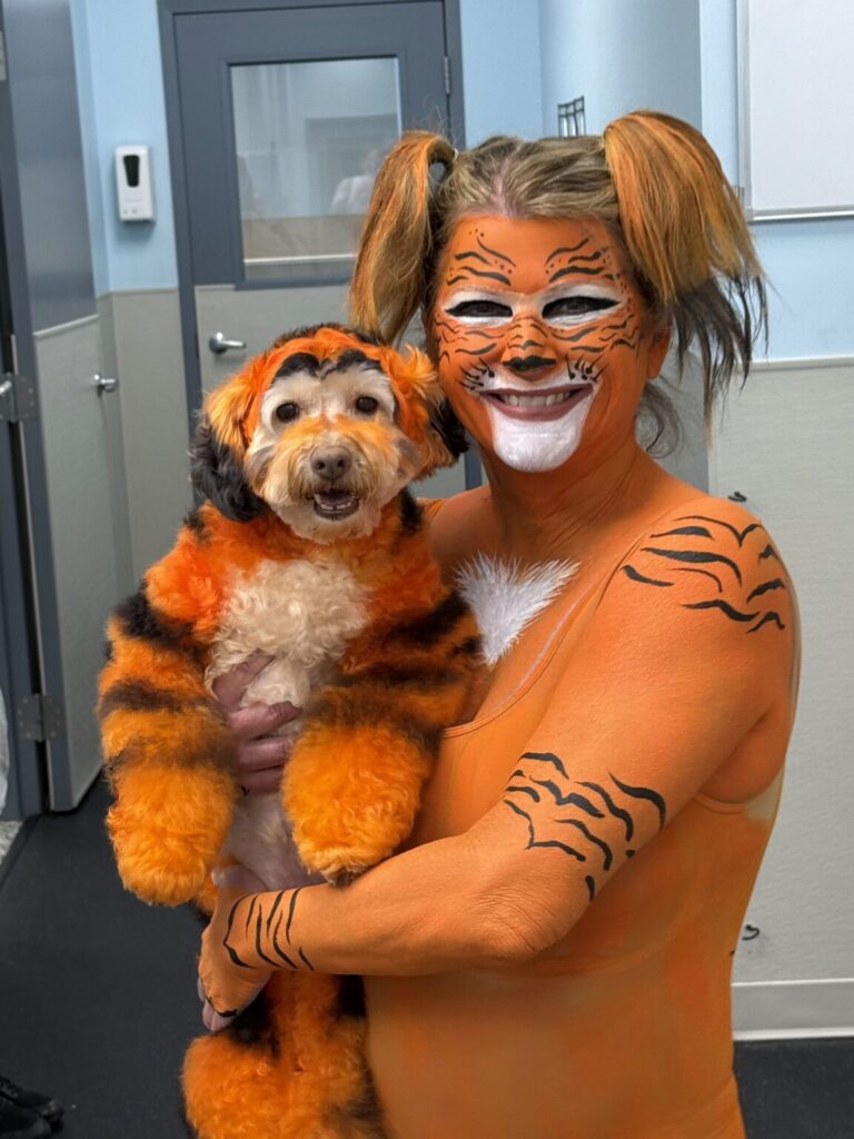 Dog grooming Alpharetta