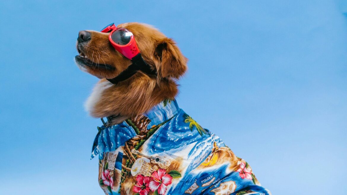 Mud-Free Fall Play: How We Keep Your Pup Safe, Clean & Happy Indoors This Autumn