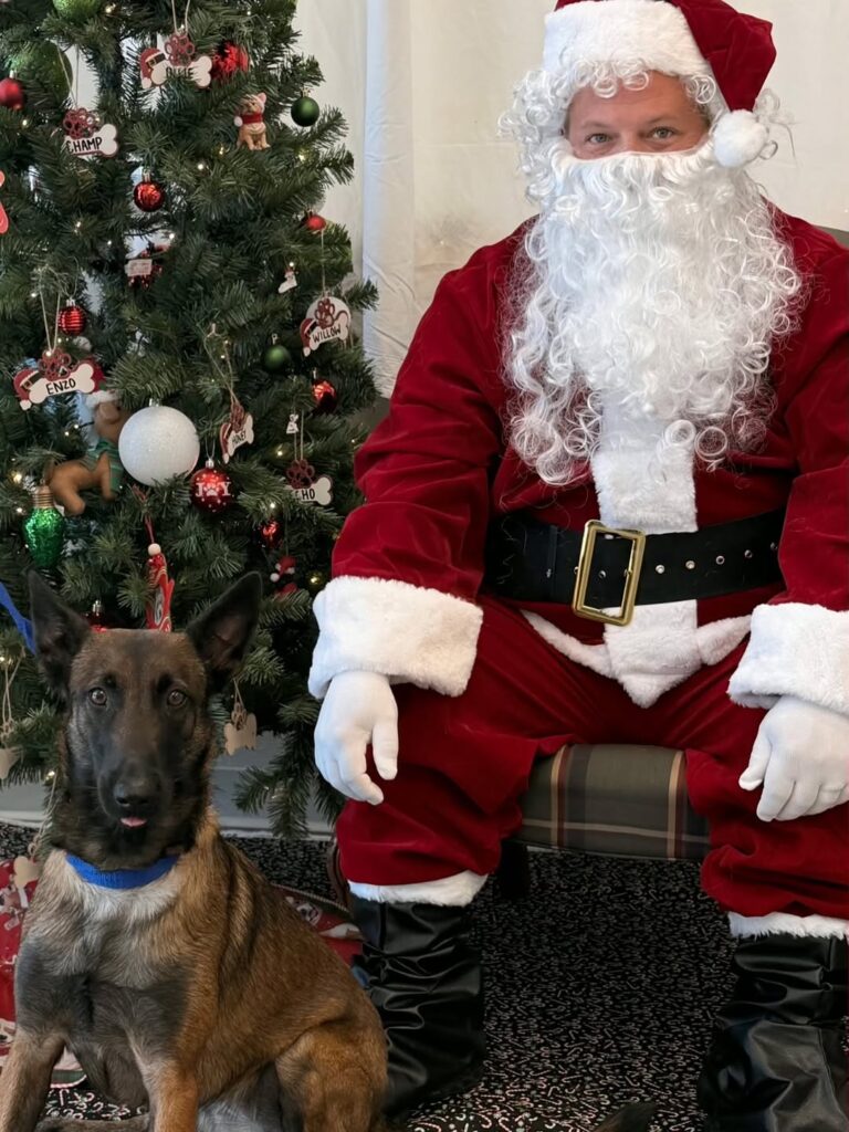 Santa Paws Holiday Photo Day