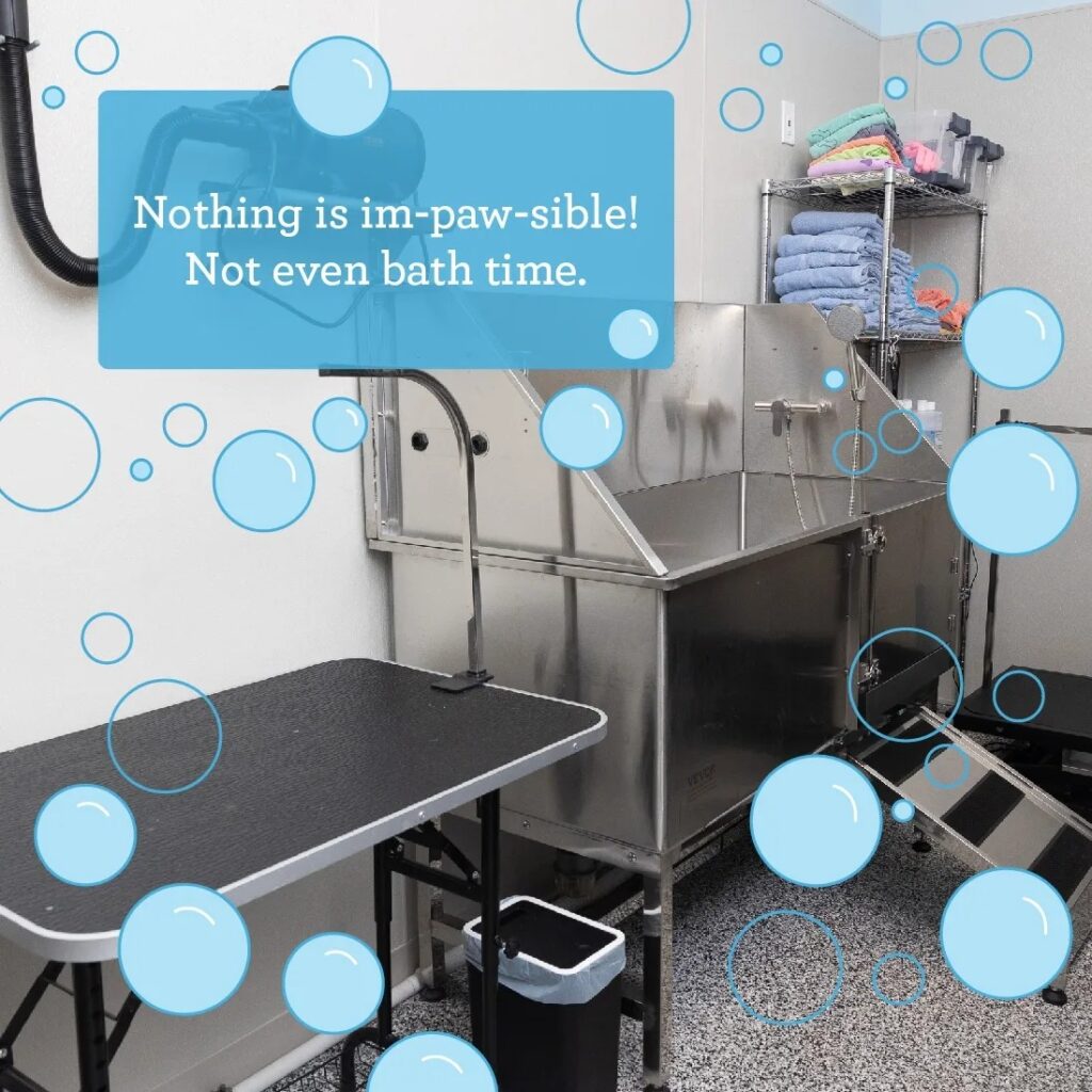 dog groomer johns creek