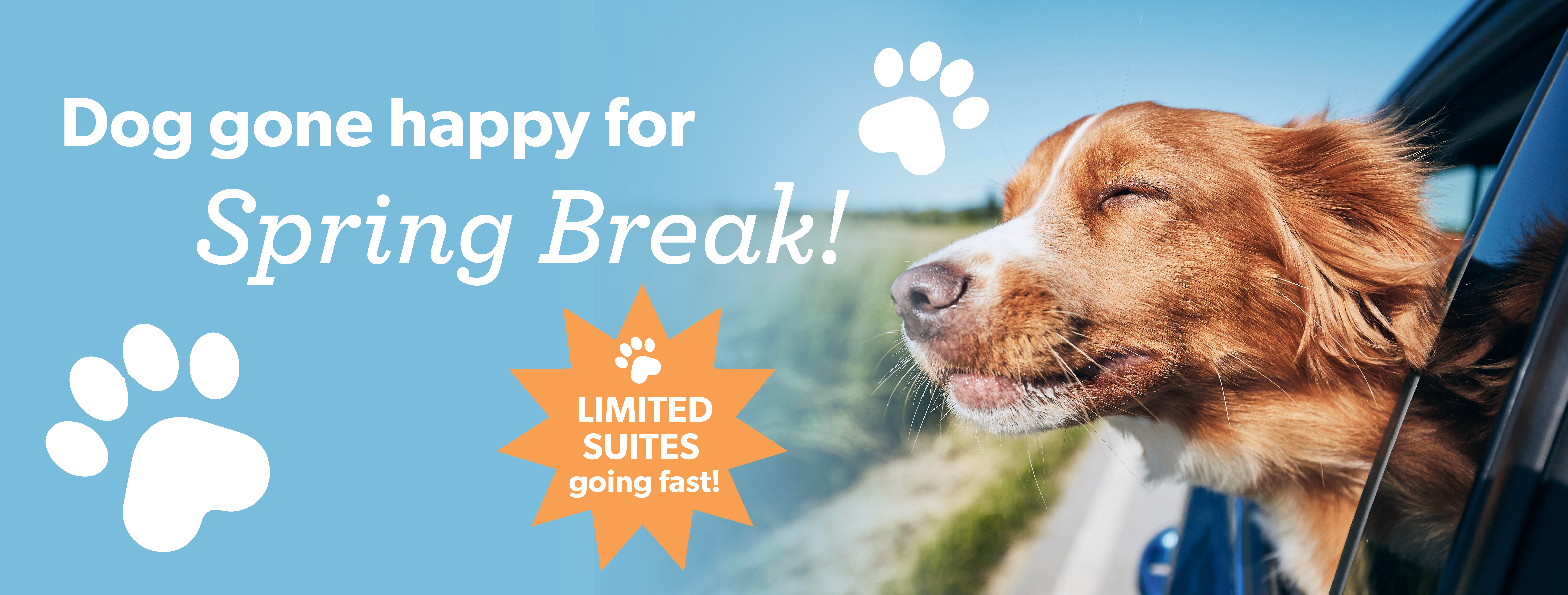 2026_SpringBreakEvent_Homepage_D1-01