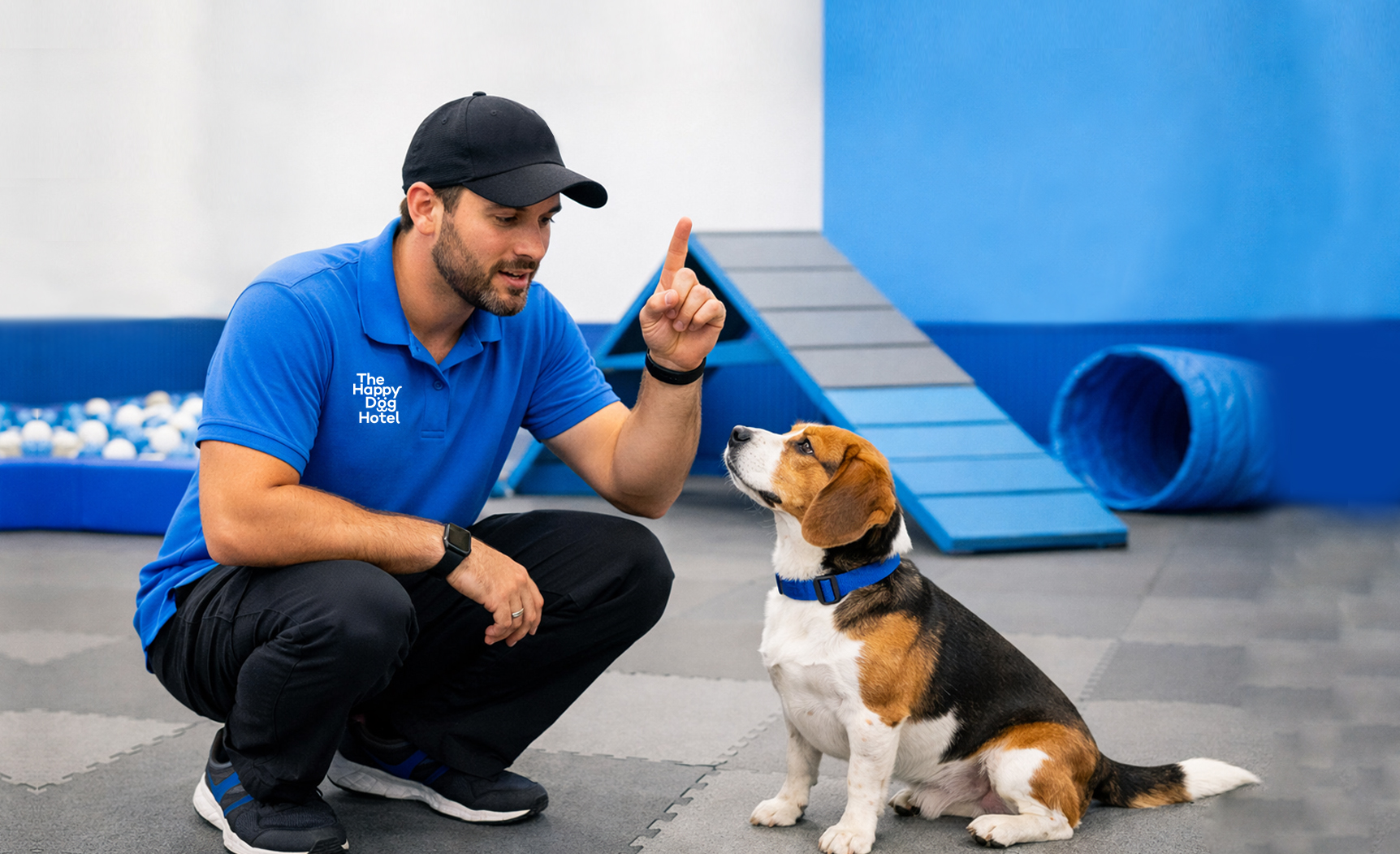 Dog Training Near Johns Creek: What Actually Works