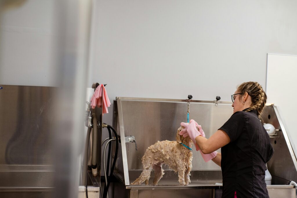 dog grooming near johns creek