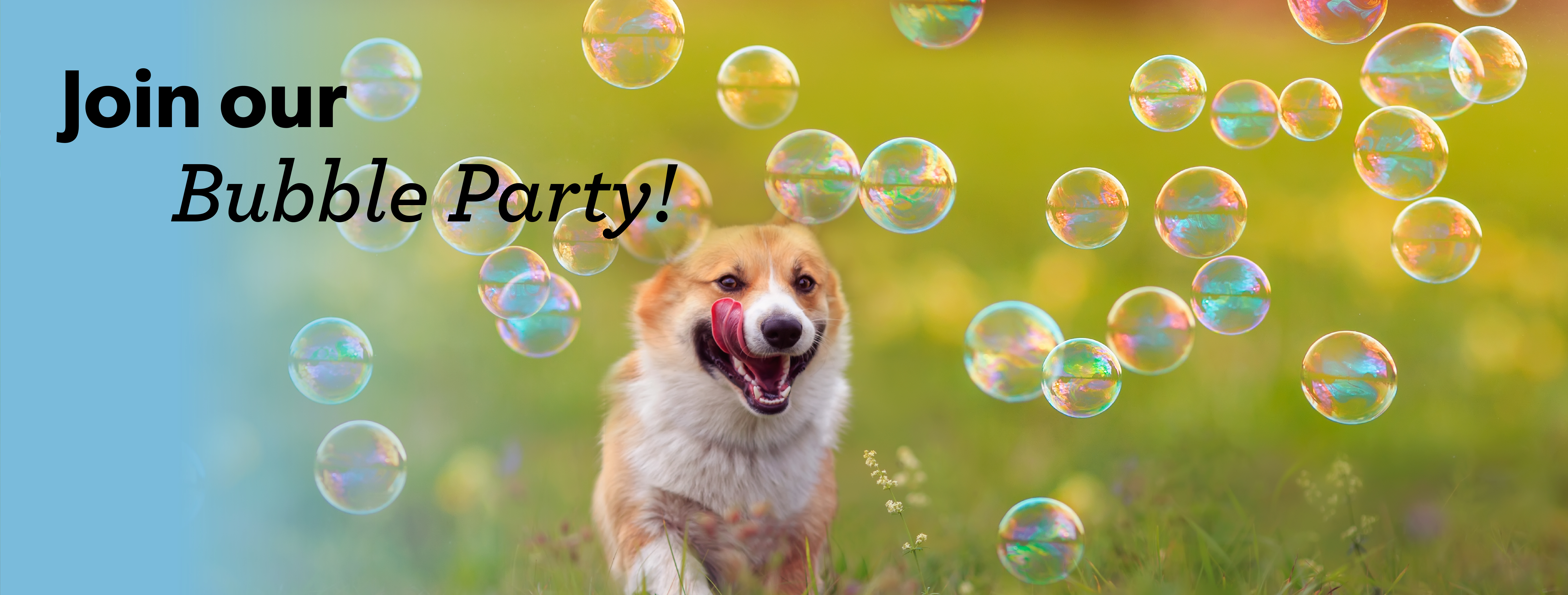 2026_BubblesEvent_Homepage_D1-01_Desktop