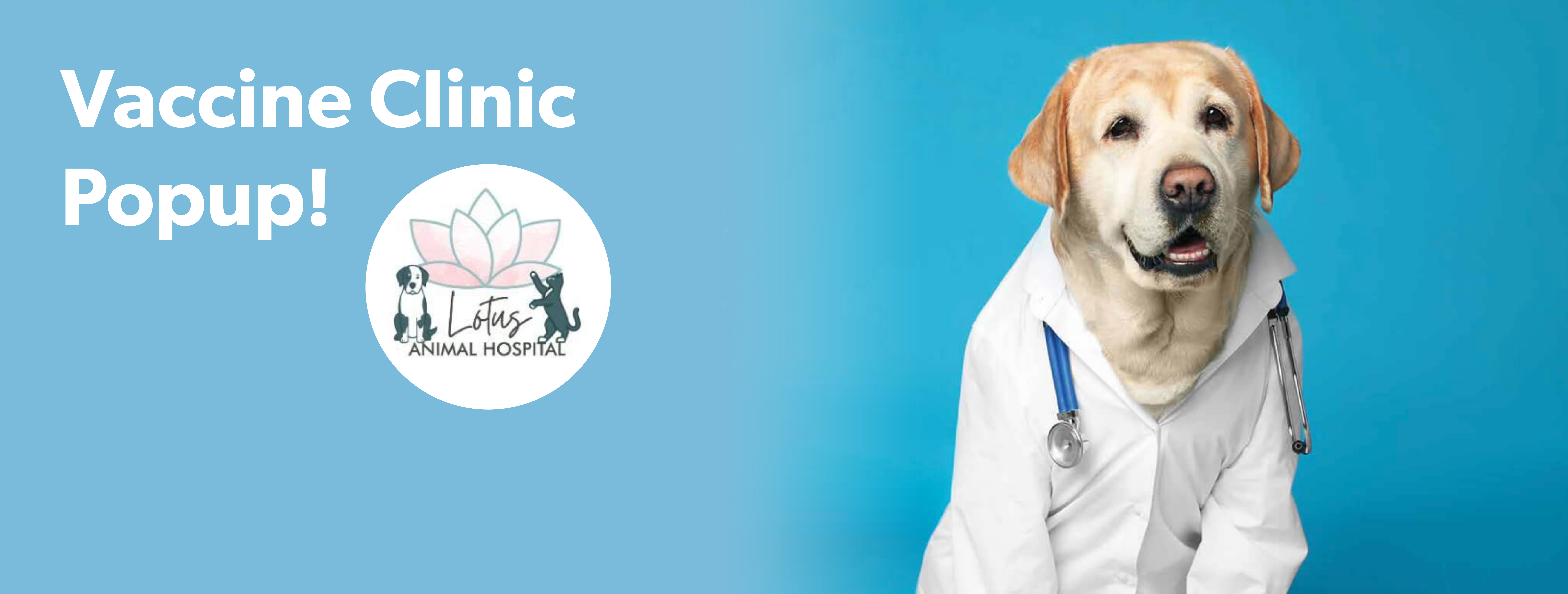 2026_VaccineClinicPopUp_Homepage_D1-01
