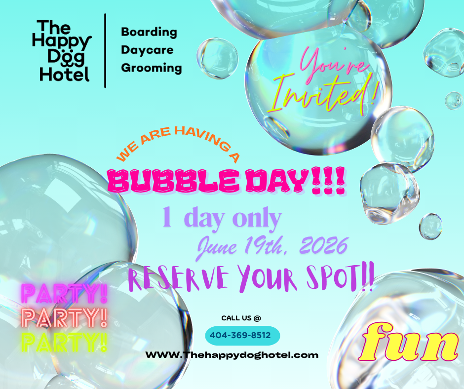 WE ARE HAVING A BUBBLE DAY!!!