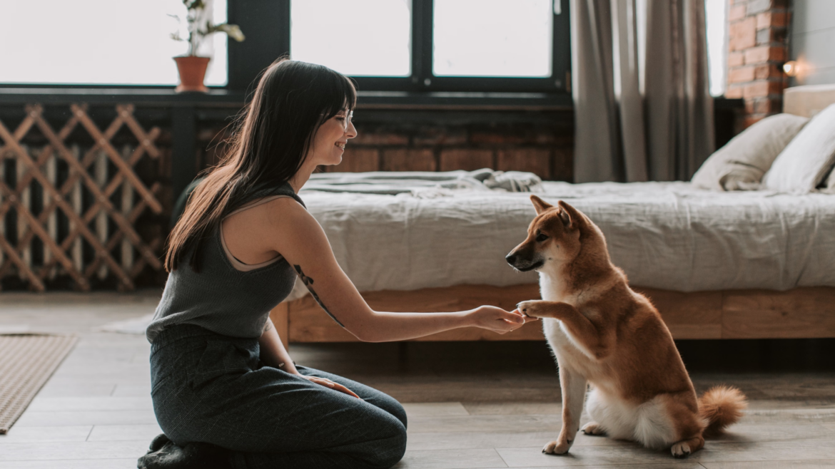 Signs Your Dog Needs Professional Training vs. DIY Training at Home