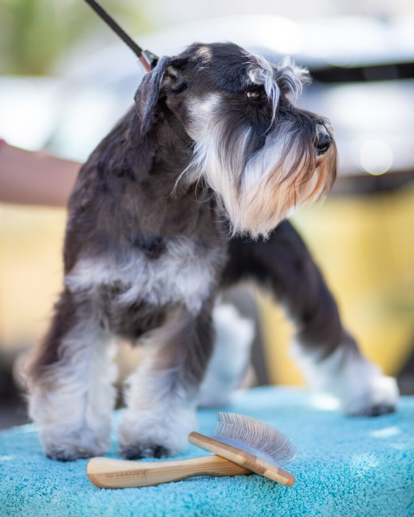 the best summer grooming styles