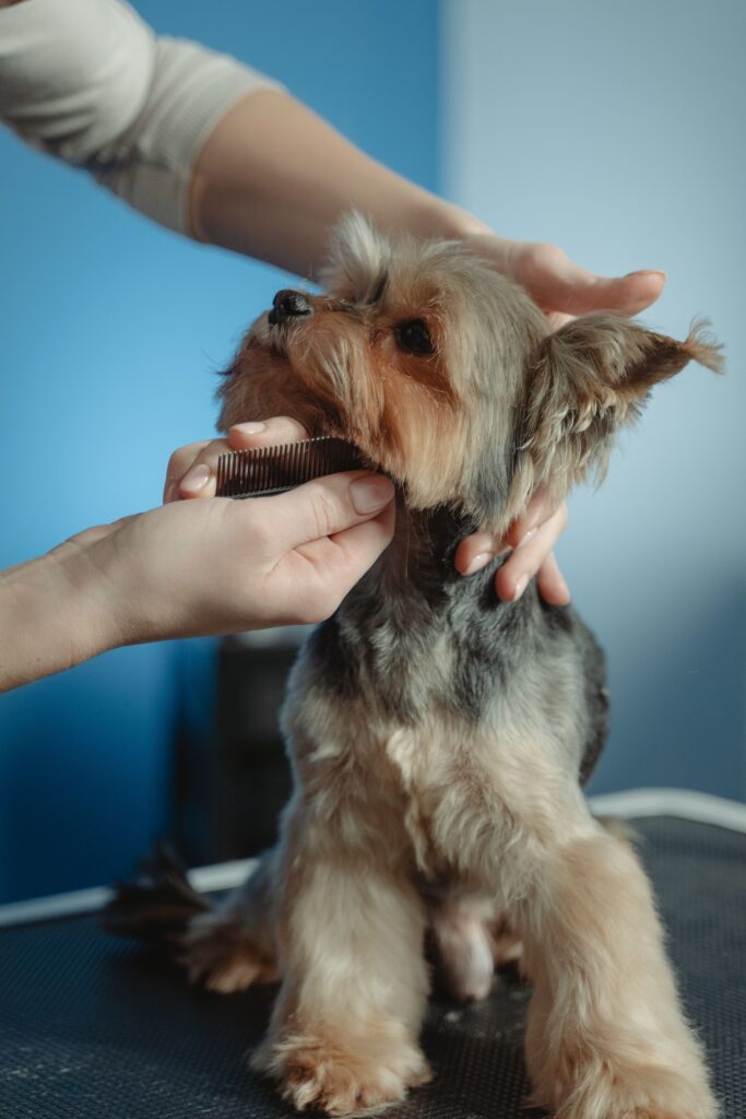 dog grooming services in Johns Creek